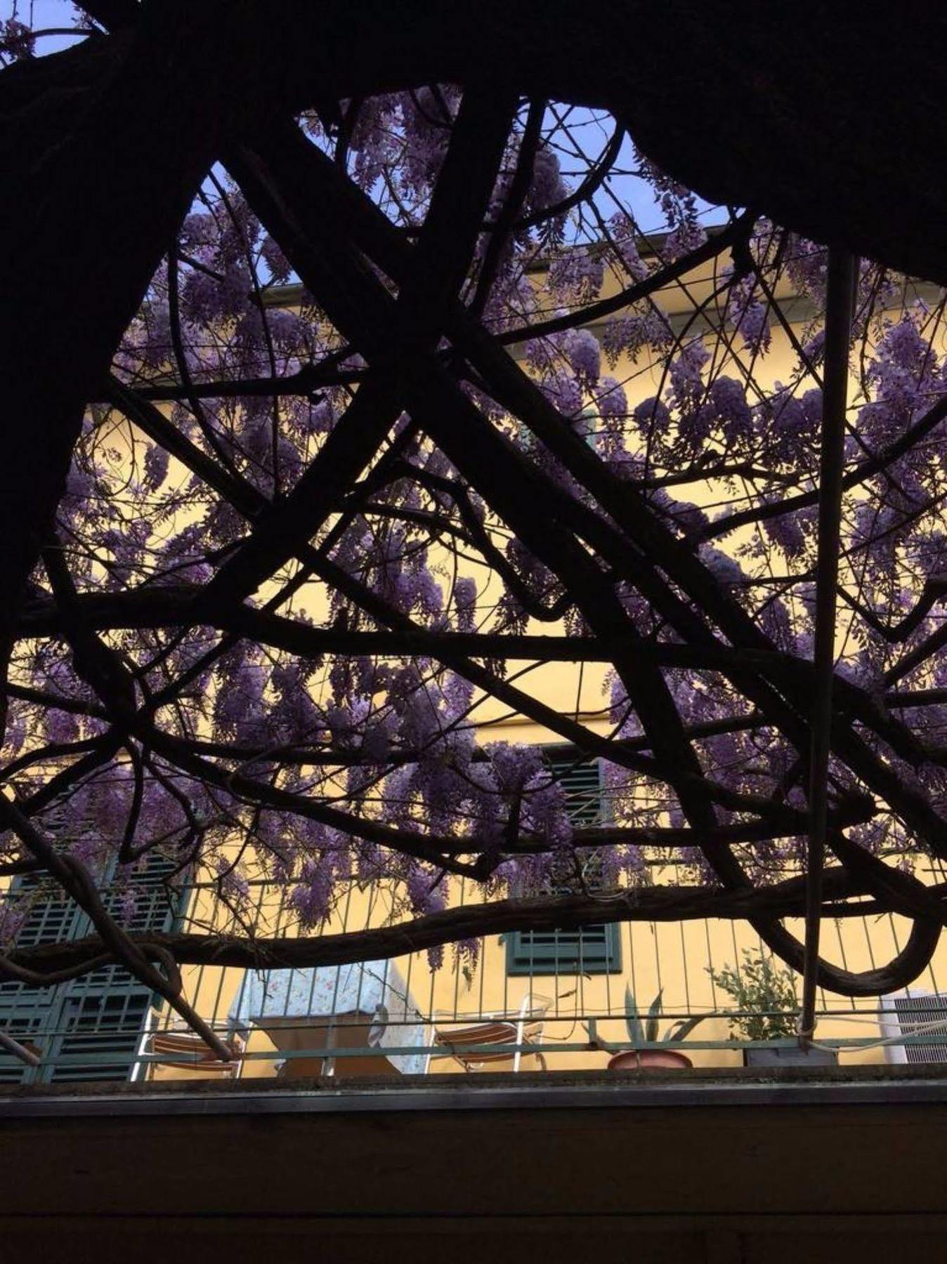 Hotel Stipino Lucca Exterior photo