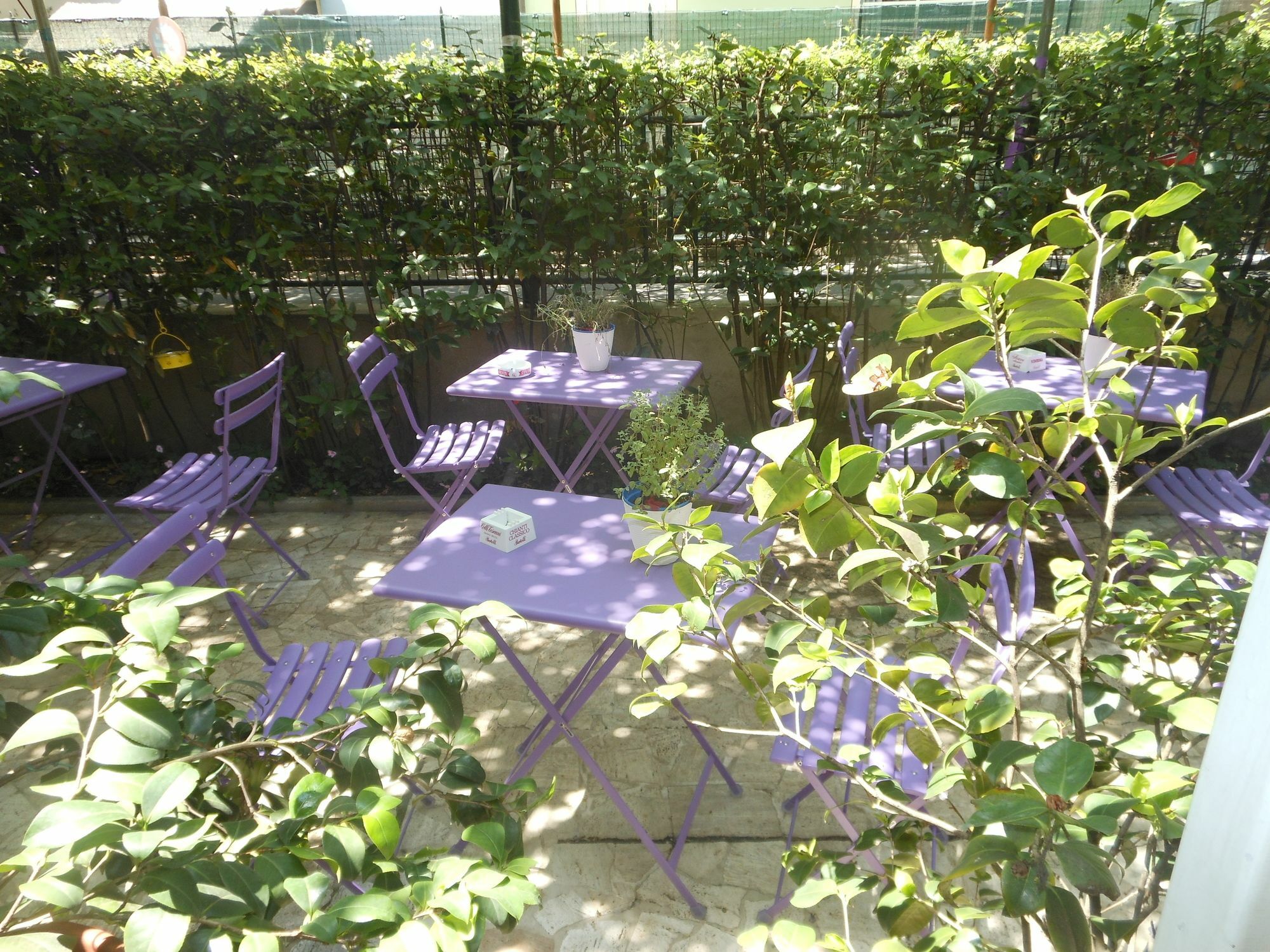 Hotel Stipino Lucca Exterior photo